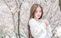 强姧美女的小说